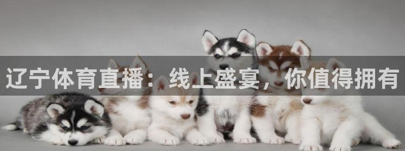 辽宁体育直播：线上盛宴，你值得拥有