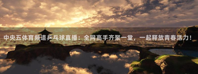 中央五体育频道乒乓球直播：全网高手齐聚一堂，一起释放青春活力！