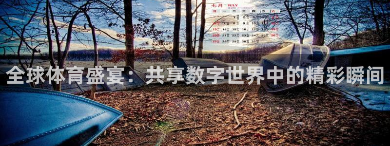 全球体育盛宴：共享数字世界中的精彩瞬间